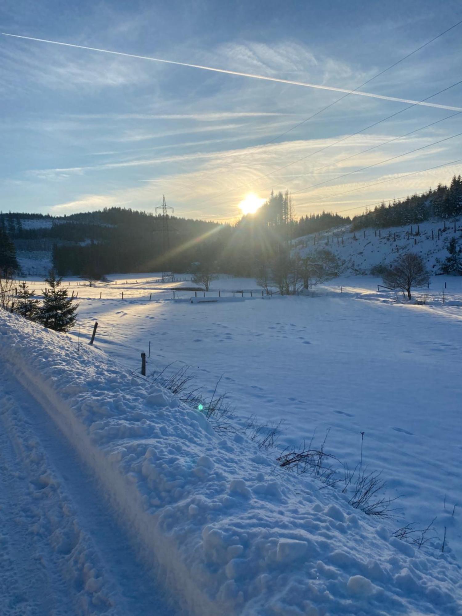 Das Waldhaus Bad Berleburg Eksteriør billede